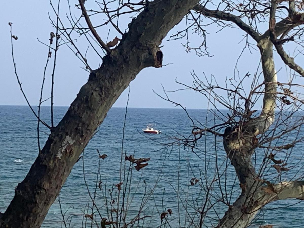 Vila Pelion 7 Lives Tsagarada Exteriér fotografie